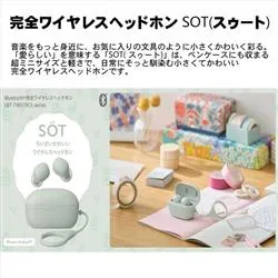 Bluetoothイヤホン 完全ワイヤレス TWS19 リーフ LBT-TWS19CSGN