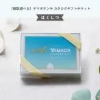 カタログギフト チケット はくじつ ヤマダ電機 ヤマダデンキ 複数選べる 1万点以上掲載 家電製品 のし プレゼント 内祝 記念日 結婚祝い 即日発送