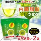 ダイエット茶 健康茶 お茶 緑茶 ダイエット茶 コレステロール 内臓脂肪 機能性表示食品 カテキン緑茶 2g×30ヶ ティーバッグ 2袋 セール 爆買