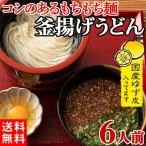 釜揚げうどん 釜あげうどん 宮崎 ゆず 薬味付き 甘口つゆ 生うどん 生麺 セール お試し つゆ付き 6食分 600g(300g×2袋)〔メール便出荷〕