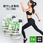 燃やしま専科 グレープ風味 500g 2袋セット エナジークエスト クエン酸 コラーゲン スポーツドリンク 健康飲料 健康ドリンク