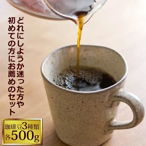 驚愕の珈琲福袋(Kグァテ・Kコロ・クリス)コーヒーコ-ヒ-/コーヒー豆 有名店の福袋 通販 送料無料/送料込み(500g×3袋 1.5kg)グルメコーヒー豆専門加藤珈琲店/珈琲豆