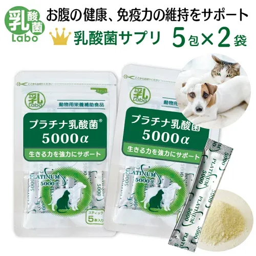 お試し 犬 猫 サプリ プラチナ乳酸菌5000α 5包入×2個セット ( プラチナ乳酸菌5000アルファ ) サンプル ペット サプリメント ビフィズス菌 オリゴ糖 お腹の健康維持 免疫の健康維持 口内環境ケア 腸活 国産 無添加 顆粒