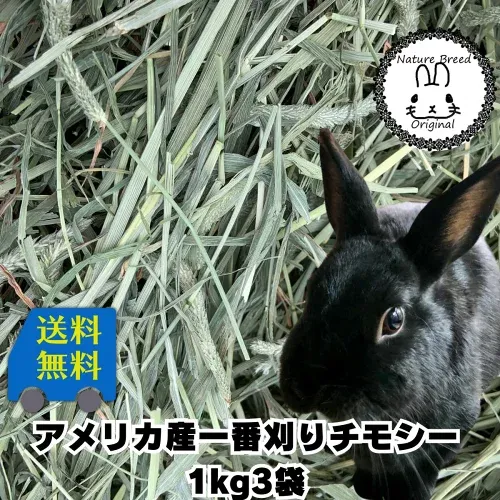 2026年新刈り入荷 ウサギ 牧草 チモシー うさぎ 送料無料 アメリカ産一番刈り チモシー シングルプレス チモシー 1kg x3袋 /モルモット うさぎなど 送料込 送料込み牧草 楽天市場 うさぎ モルモット デグー ウサギ ラビット フード super202606 TM