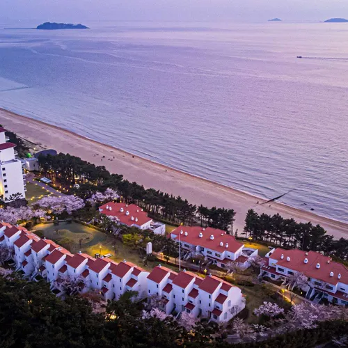 ♥ S20 타워 콘도