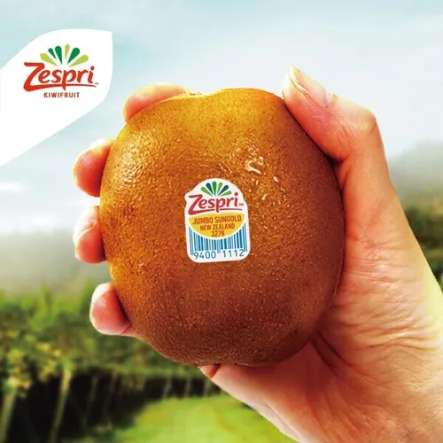 제스프리 썬 골드키위 자이언트 사이즈 총 3.2kg (21입 개당 150g 내외)