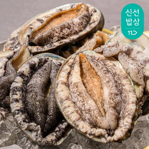 완도 활 전복1kg 10-12미 특대전복 횟감용 구이용 살아서도착 + 세척솔