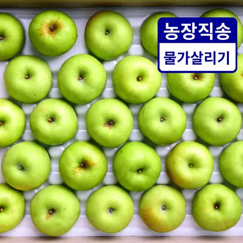 ★가성비 끝판왕★ 겉만 못난이, 맛은 정품! 실속 아오리 사과