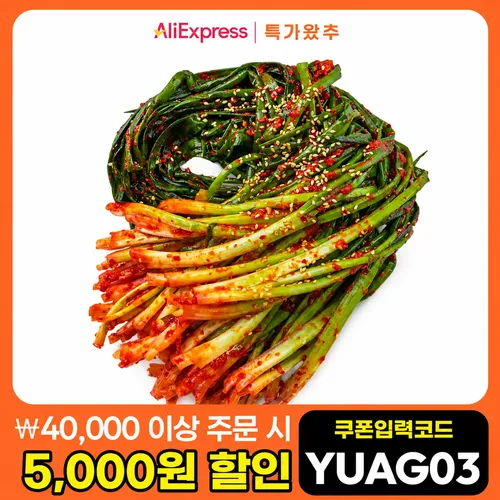 국산 재료만 사용한 해썹 인증 전라도 손맛 파김치 1kg 외 김치모음