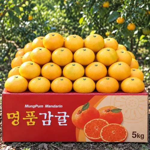 타임초특가 14brix 초고당도 제주 감귤