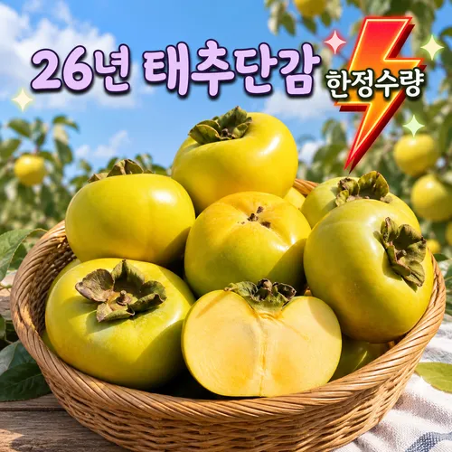 (한정수량) 26년 고당도 프리미엄 태추단감 산지직송 구매찬스