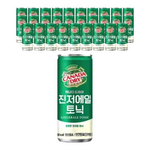 캐나다드라이 진저에일, 250ml, 30개
