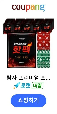 탐사 프리미엄 포켓용 핫팩 양면 디자인 90g, 30개