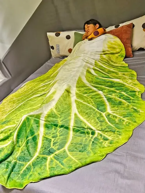 양면 플란넬 양배추 패턴 홈 소파 담요 부드러운 창의적 디자인 따뜻한 거실용 담요