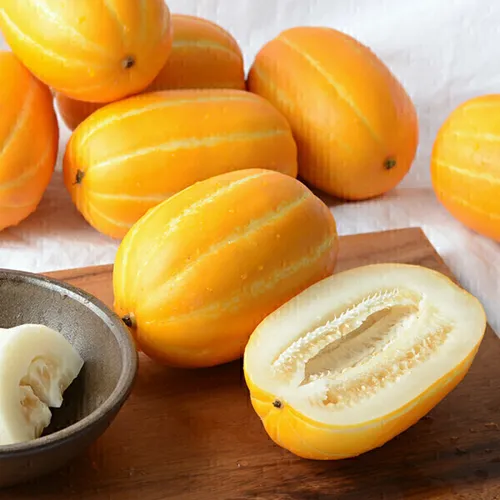 (신선집중) 한정특가/성주 참외 10kg 실중량 당도선별 꿀참외(혼합과)/가정용/고당도
