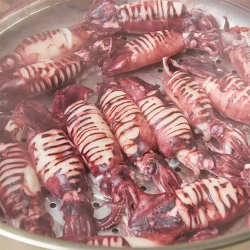 녹진한 내장의 총알 한치
