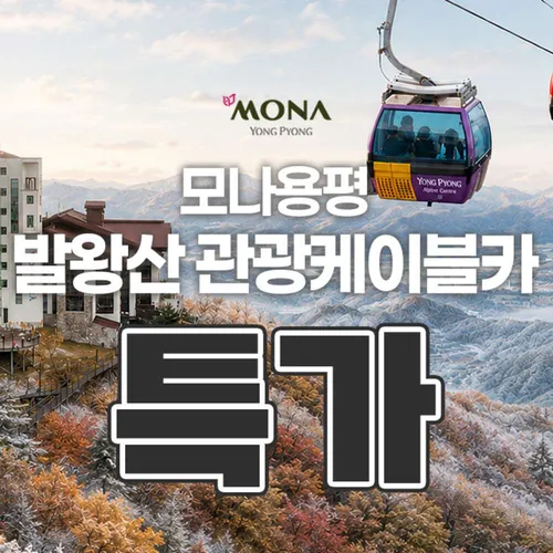 ★골드박스★ 발왕산 관광케이블카 소인