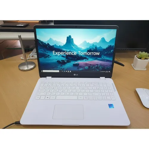 LG전자 울트라PC 15U50P i5-1135G7/DDR4 메모리/초고속 SSD/Iris Xe/윈11 15.6인치 FHD 고사양 노트북, LG전자 15U50P, WIN11 Home, 16GB, 512GB, 화이트