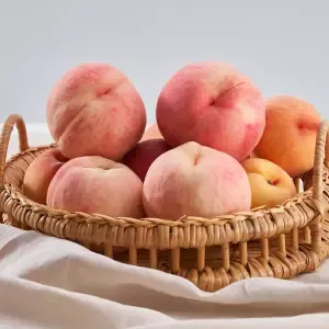 전남 고흥 해풍맞은 복숭아 (황도/백도 랜덤) 1.25kg 7~8과