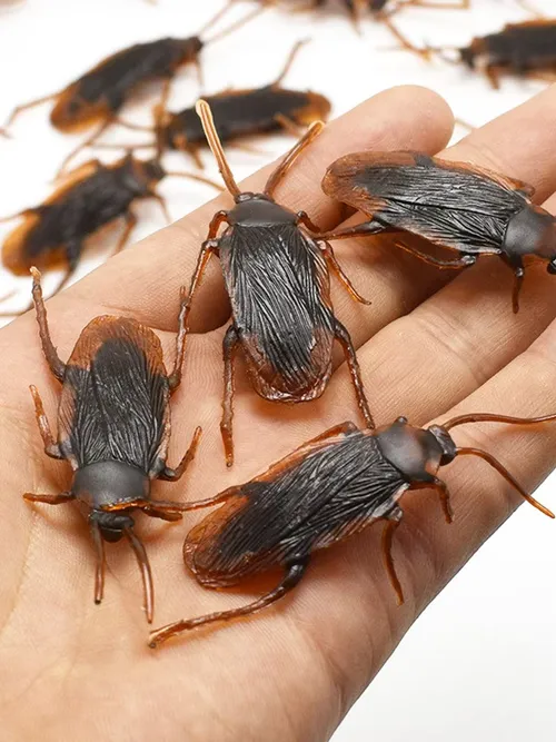 5-50개 할로윈 장난감 플라스틱 바퀴벌레 장난 장식 소품 고무 장난감 개그 실용적인 농담 장난감 플라스틱 벌레 바퀴벌레