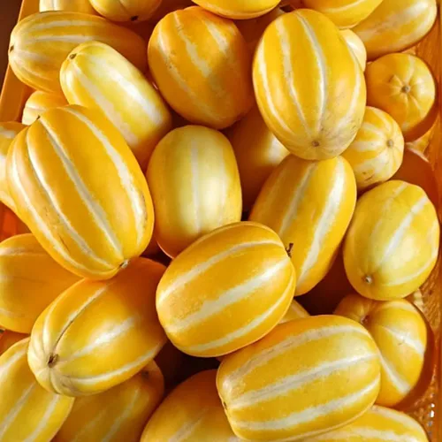 성주 꿀 참외 산지직송 당도선별 가정용 5kg, 5kg(랜덤), 1개