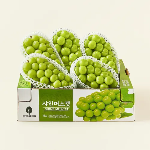 한반도 비파괴 당도선별 샤인머스캣