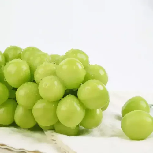 스윗킹 고당도 김천 실속형 샤인머스켓 2kg(3-5수)
