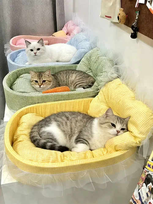 귀여운 레이스 장식 애완 고양이 공주 소파 침대 (사계절용) 세탁 및 분리 가능 부드러운 플러시 소재 타원형 소형견/고양이용