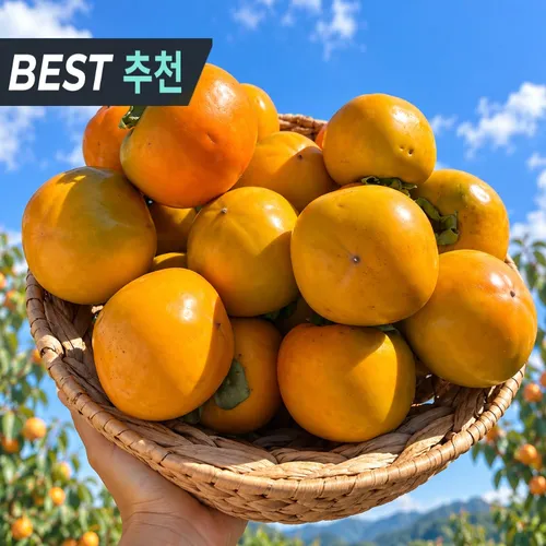 (한정수량판매) 금메달농수산 곶감용 둥시감, 1박스, 10kg 소과 (박스무게포함)