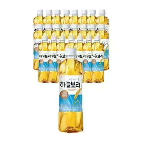 웅진 하늘보리 유/무라벨 랜덤 500ml, 24개