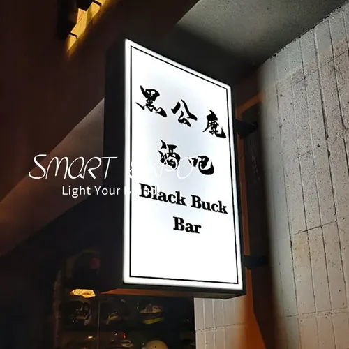 Outdoor LED Projecting Lightbox Lighted Advertising Display Sign 60x120cm Waterproof Double-Sided Magnetic Panels Wall Projection Mounting with Wooden Case Pack