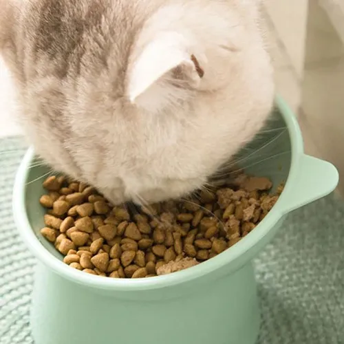 143805 Equipped with a dedicated bowl lid, it is dust-proof and insect proof, and can also prevent the smell of food from spreading, keeping indoor air fresh.