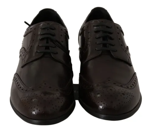 Dolce & Gabbana Leather Brogue Wingtip Oxford — Brown