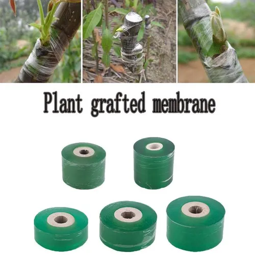 Plant graft protective green eco-friendly film impermeable graft ribbon bind belt