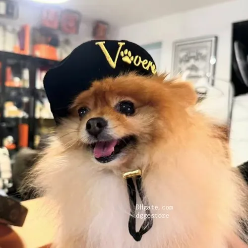 Designer Pet Hats Luxury Dog Beret Soft and Silky Velvet Material Round Hat Fashion Dog Princess Hat Adjustable Chin Strap for Small Dog Dog Apparel Accessories Y232