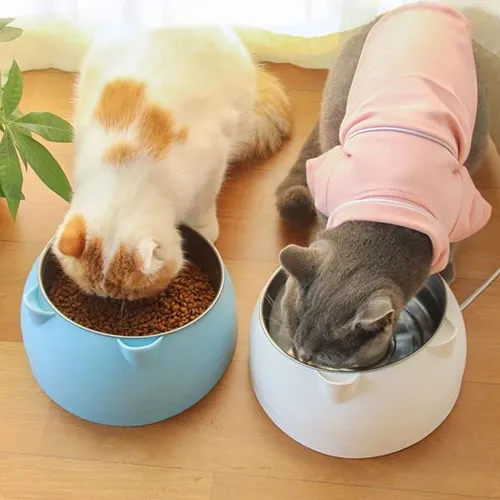 158532 Using anti glare frosted material to prevent strong light reflection from irritating the cat's eyes, allowing the cat to dine comfortably in soft light.