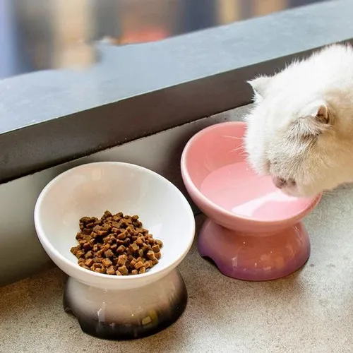 551682 Paper cat bowl, disposable and no need to wash, waterproof and oil-proof, suitable for outdoor emergency, protecting stray cats' meals