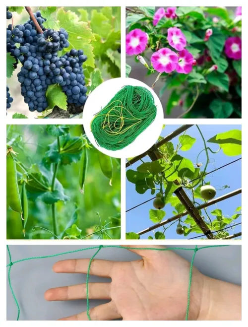 Plant Garden Trellis Net for Grape and cucumber Bonsai Frame Nylon Net Morning Glory Climbing for Household Use