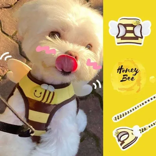 Little Bee Cute Puppy Vest Chest Harness Walking Leash Household Small Dog