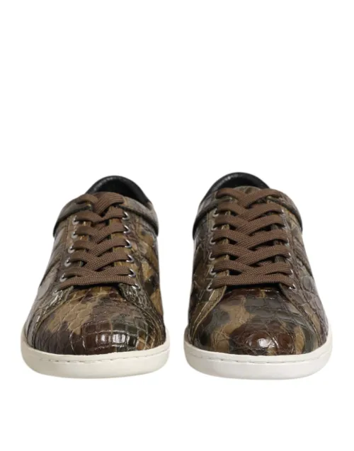 Dolce & Gabbana Exotic Caiman Leather Sneaker — Brown